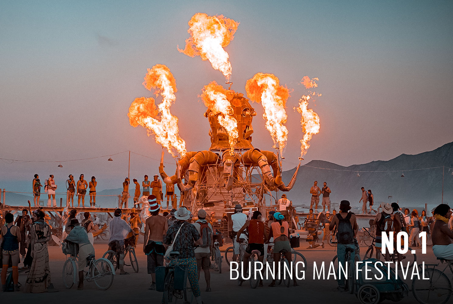 Burning Man Festival