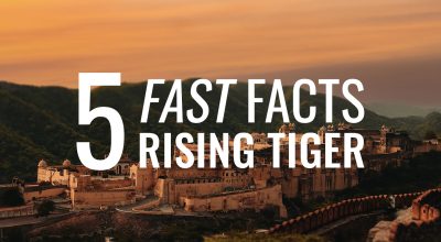 Rising Tiger Fast Facts
